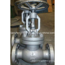 300lb/600lb Stainless Steel Globe Valve with Flange End RF